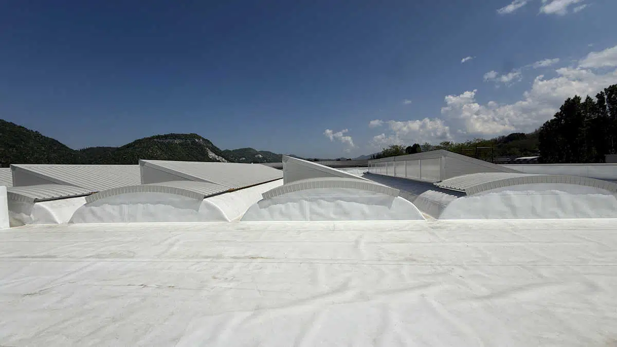 Impermeabilizzazioni in TPO
